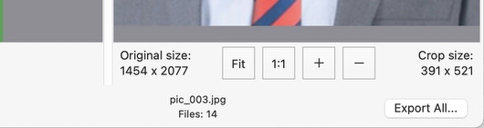 Frame-A-Face Interface: Export All Speed-Button