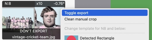 Frame-A-Face Interface: Don't Export Image
