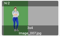 Frame-A-Face Interface: List Item Not Scanned