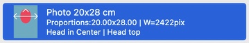 Presets Menu Bar