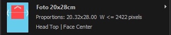 Presets Menu Bar